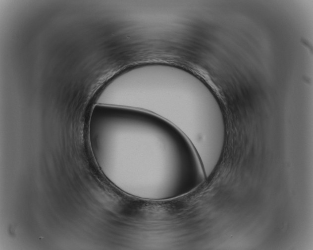 X0000091880299200709051020
