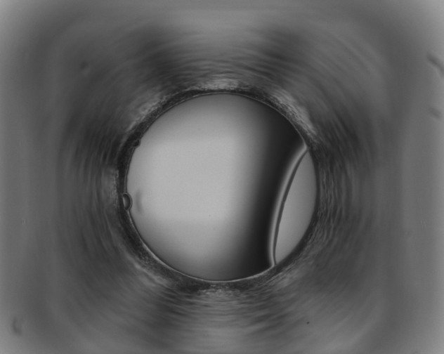 X0000091880300200709051020