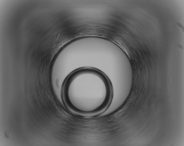 X0000091880301200709051020