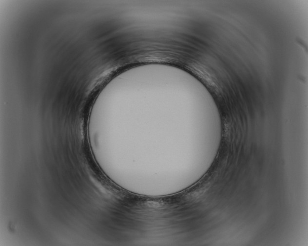X0000091880302200709051020