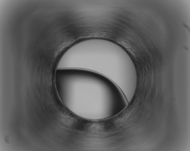 X0000091880303200709051020