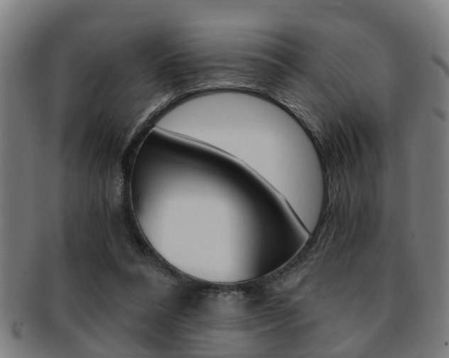 X0000091880304200709051020