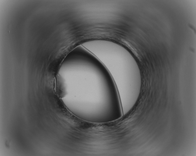 X0000091880307200709051020