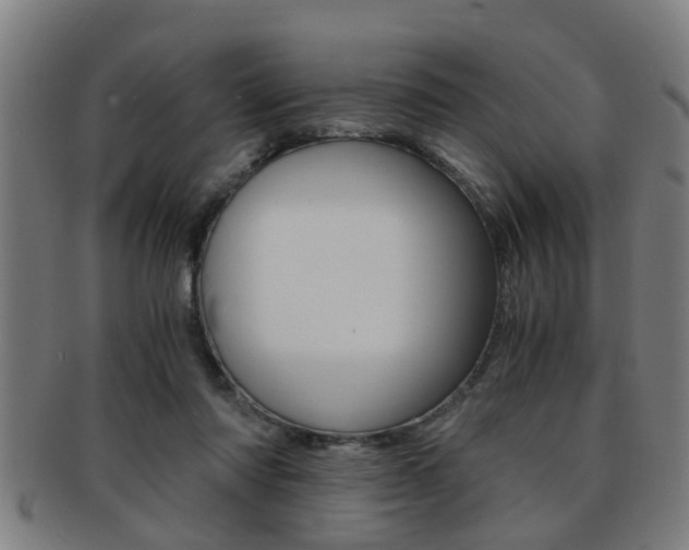 X0000091880310200709051020