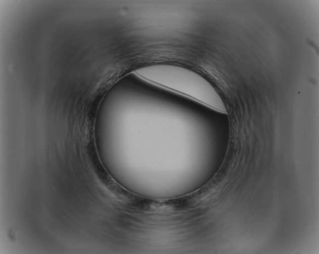 X0000091880311200709051020