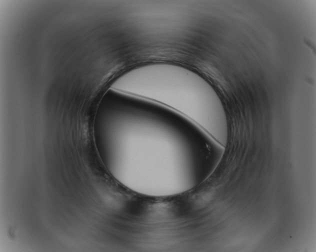 X0000091880312200709051020