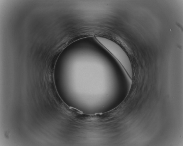 X0000091880313200709051020