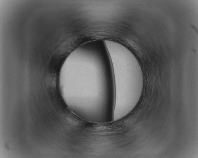 X0000091880315200709051020