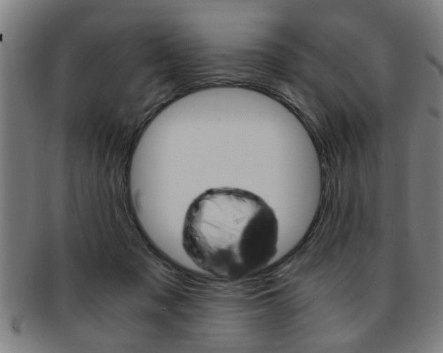 X0000091880317200709051020