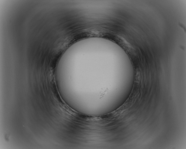 X0000091880318200709051020