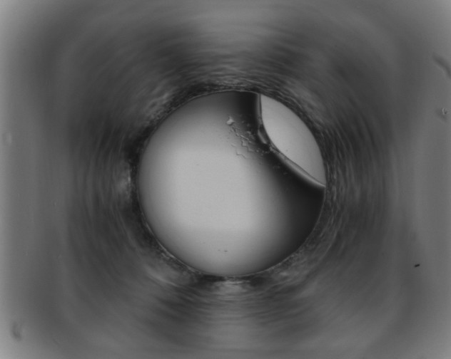 X0000091880320200709051020