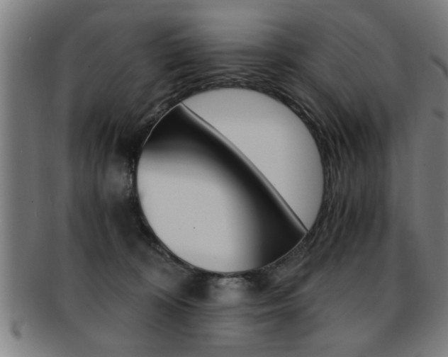 X0000091880324200709051019