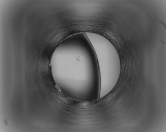 X0000091880325200709051019
