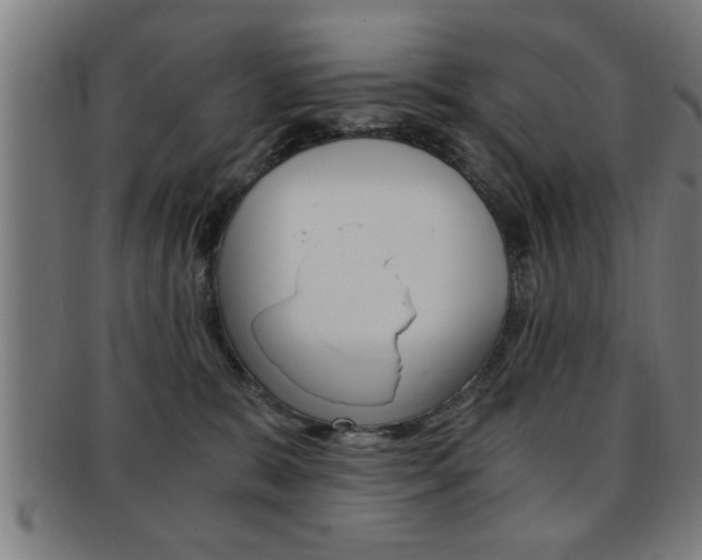 X0000091880327200709051019