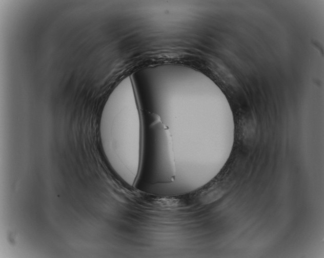 X0000091880328200709051019