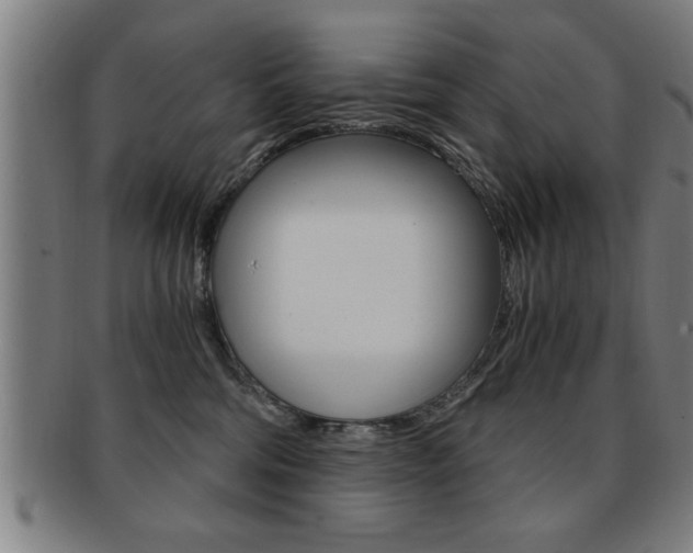 X0000091880330200709051019