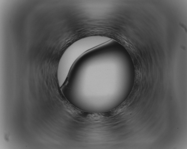 X0000091880331200709051019
