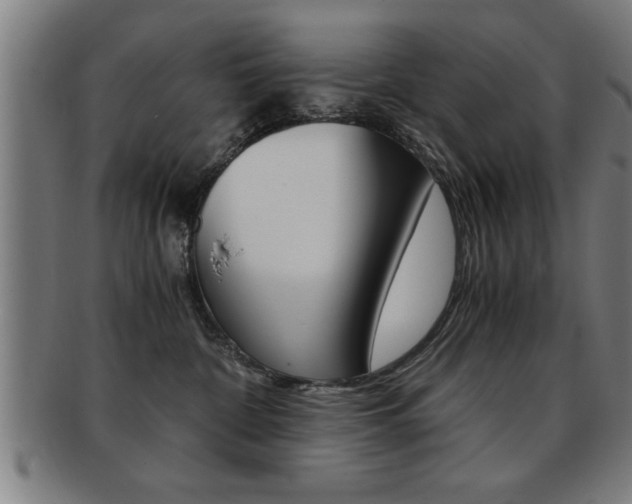 X0000091880332200709051019