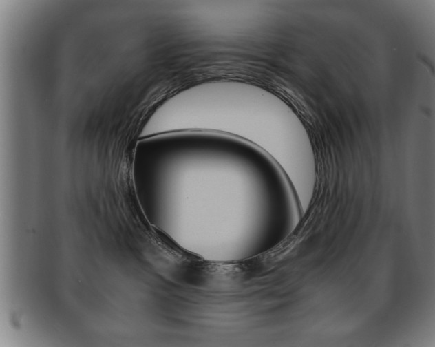 X0000091880333200709051019