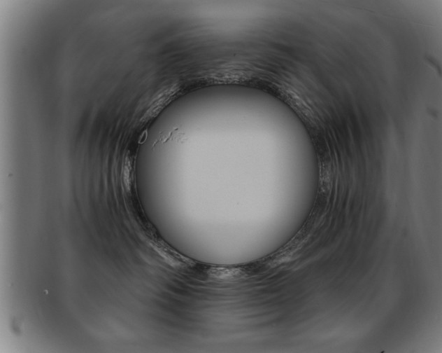 X0000091880334200709051019