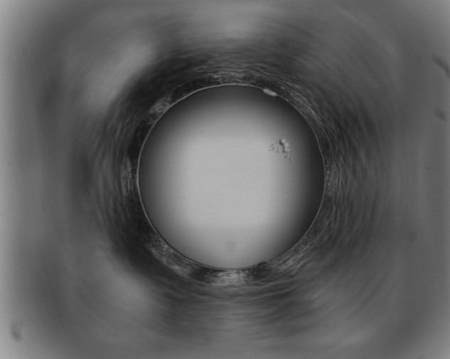 X0000091880335200709051019