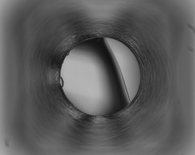 X0000091880336200709051019