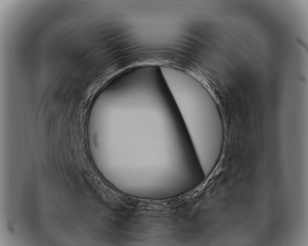 X0000091880337200709051019