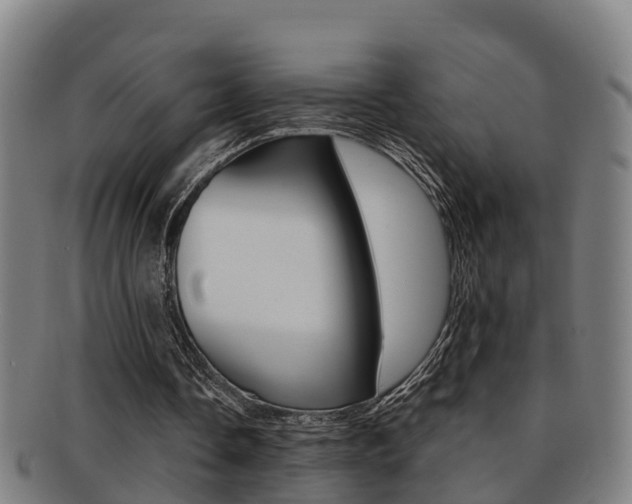 X0000091880338200709051019