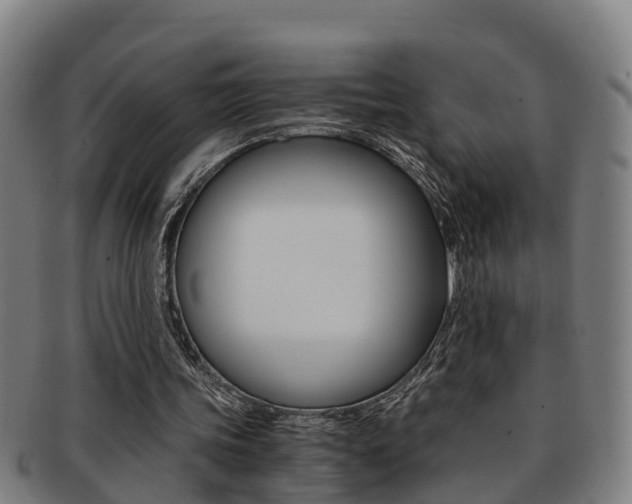 X0000091880339200709051019