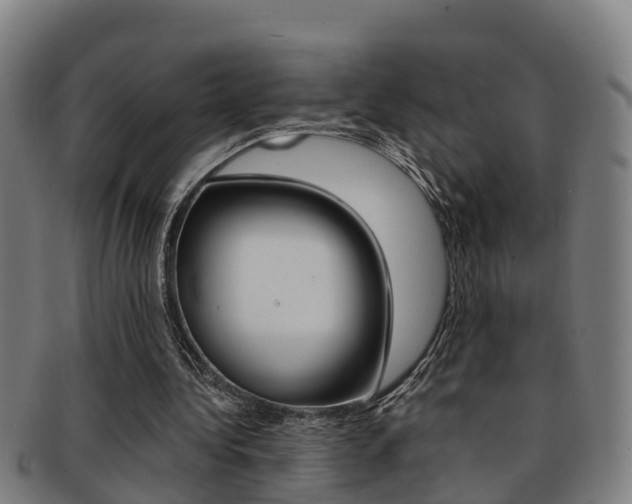 X0000091880340200709051019