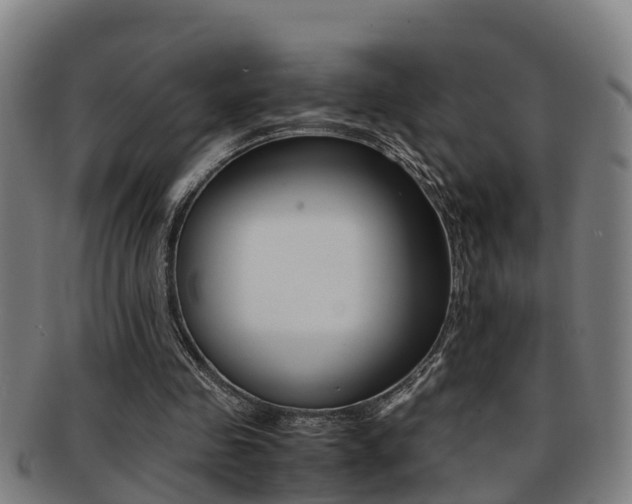X0000091880341200709051019