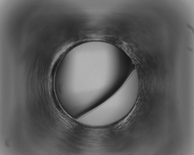 X0000091880342200709051019