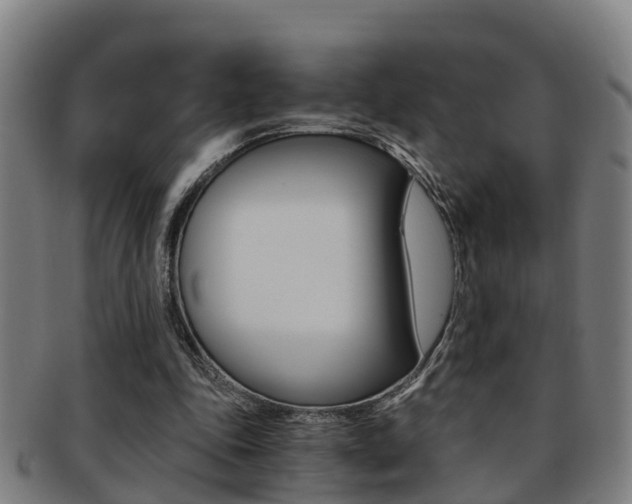 X0000091880343200709051019