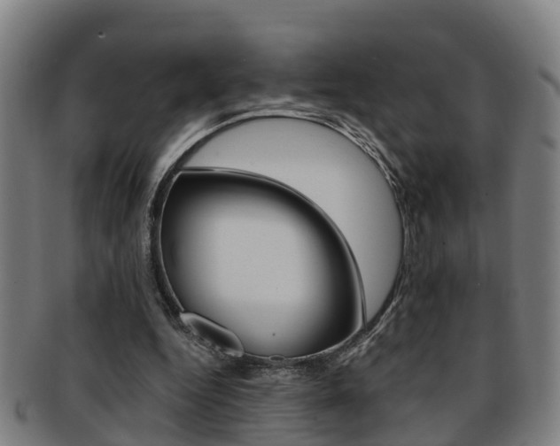 X0000091880344200709051019