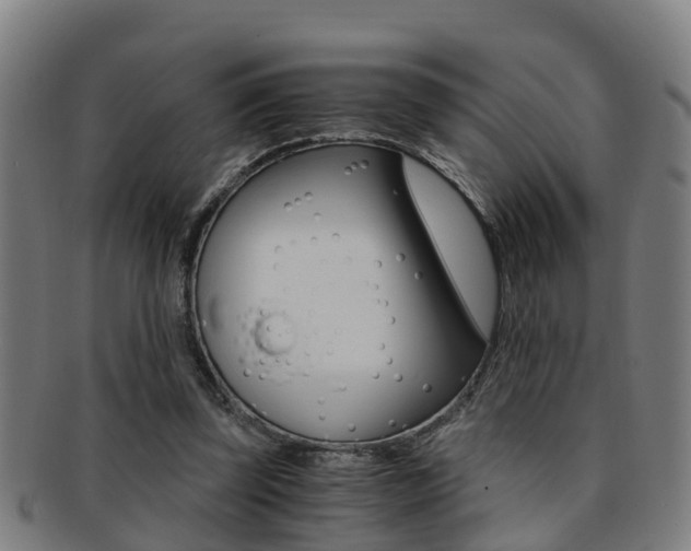 X0000091880347200709051019