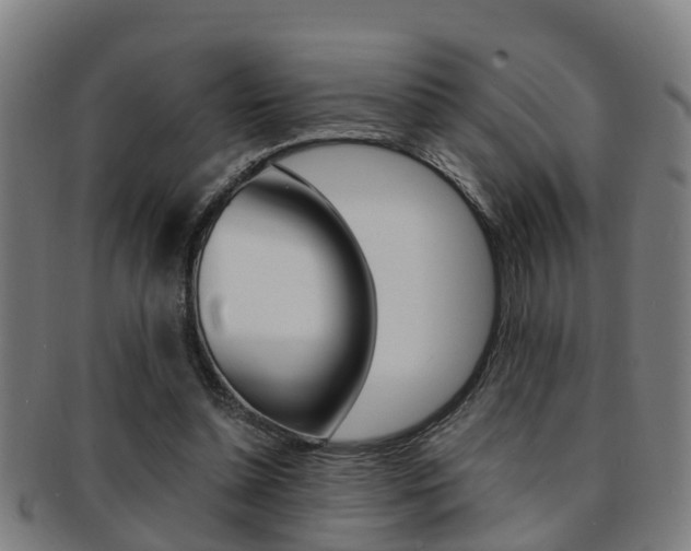 X0000091880348200709051019