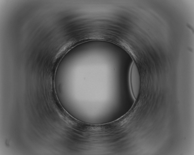 X0000091880349200709051019