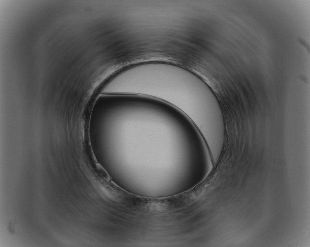 X0000091880350200709051019