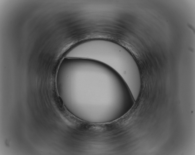 X0000091880352200709051019