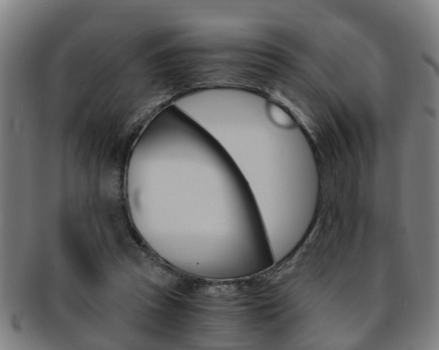 X0000091880353200709051019