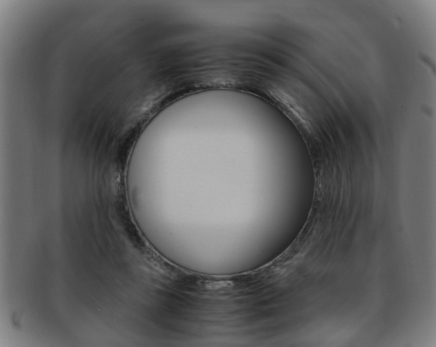 X0000091880355200709051019