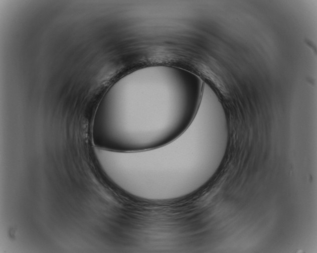 X0000091880356200709051019