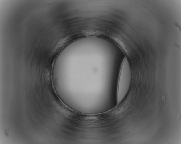 X0000091880357200709051019