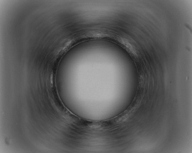 X0000091880358200709051019