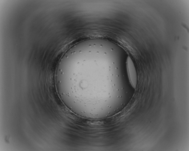 X0000091880359200709051019