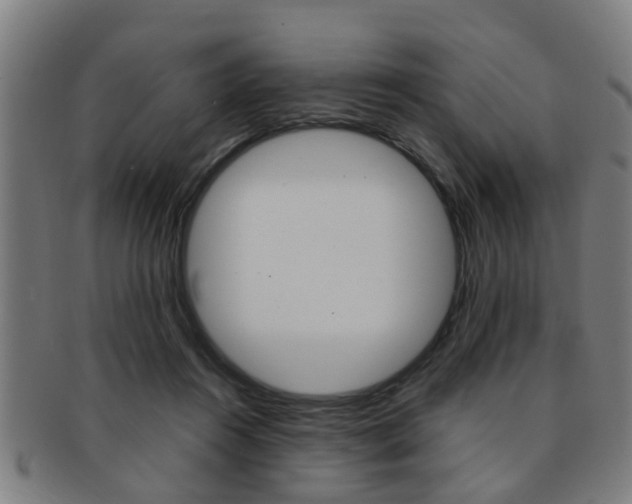 X0000091880360200709051019
