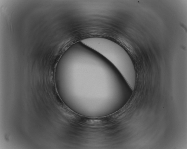 X0000091880361200709051019