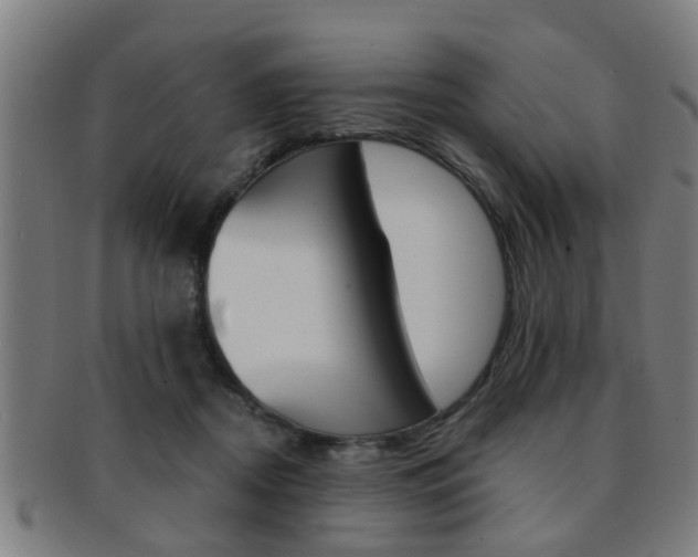 X0000091880362200709051019