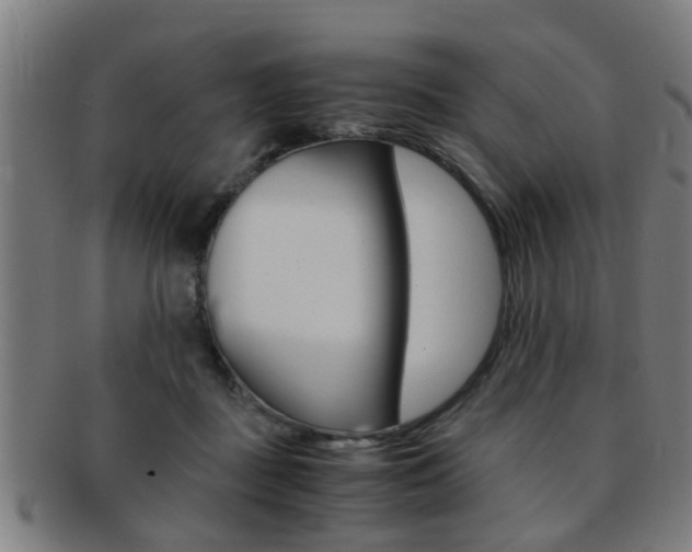X0000091880363200709051019