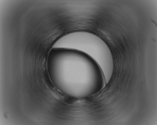 X0000091880364200709051019